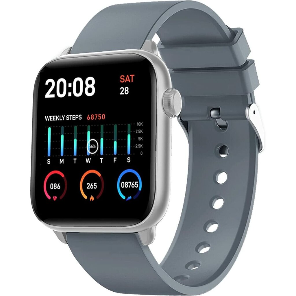 Smartwatch Xplora XMove Grey kaina ir informacija | Išmanieji laikrodžiai (smartwatch) | pigu.lt