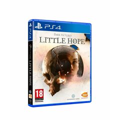 Видеоигры PlayStation 4 Bandai Namco The Dark Pictures Anthology - Little Hope цена и информация | Компьютерные игры | pigu.lt