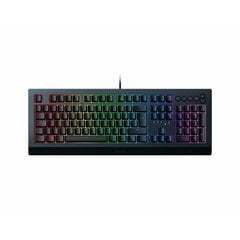 Razer Cynosa V2 цена и информация | Клавиатуры | pigu.lt