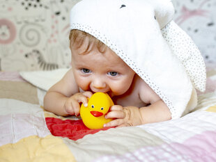 Vonios žaislas "Antytės", 3 vnt kaina ir informacija | Žaislai kūdikiams | pigu.lt