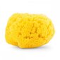 Natūrali kempinė Chicco Sea Sponge Medium 0m+ kaina ir informacija | Maudynių priemonės | pigu.lt