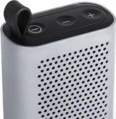 Bluetooth-динамик Schneider USB 450 mAh 2W цена и информация | Аудиоколонки | pigu.lt