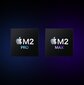 MacBook Pro 16" Apple M2 Pro, 16GB/1TB, Space Gray, INT, MNW93ZE/A kaina ir informacija | Nešiojami kompiuteriai | pigu.lt