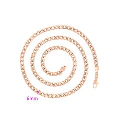 Стильная позолоченная цепочка с покрытием из розового золота цена и информация | Женское колье | pigu.lt
