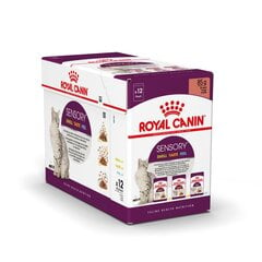 Royal Canin Sensory Smell Taste Feel Pack Gravy konservai katėms, 3x4x85 g kaina ir informacija | Konservai katėms | pigu.lt