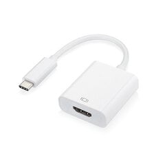 Адаптер C - HDMI, 4к*2к, 0,25 м цена и информация | Адаптеры, USB-разветвители | pigu.lt