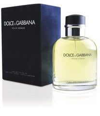 Tualetinis vanduo Dolce & Gabbana Pour Homme EDT vyrams 200 ml kaina ir informacija | Kvepalai vyrams | pigu.lt