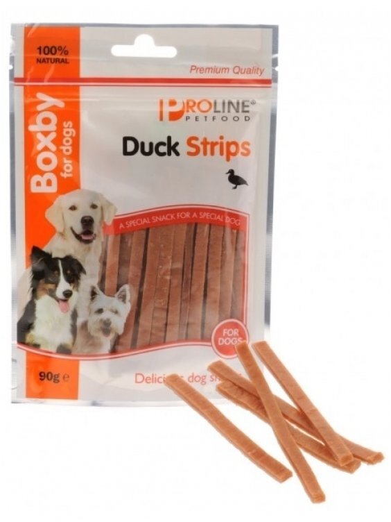 Skanėstai Duck Strips 90 g kaina ir informacija | Skanėstai šunims | pigu.lt