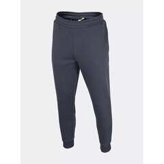 Спортивные штаны для мужчин Outhorn M OTHAW22TTROM02431S, серые цена и информация | Мужская спортивная одежда | pigu.lt