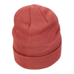 Kepurė berniukams Nike Beanie Jr. CW5871-691, raudona kaina ir informacija | Kepurės, pirštinės, šalikai berniukams | pigu.lt