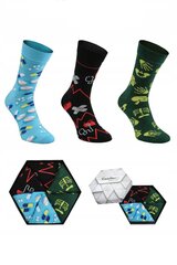 Kojinės moterims Rainbow Socks 23611249, 3 poros kaina ir informacija | Moteriškos kojinės | pigu.lt