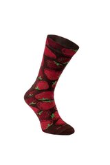 Kojinės moterims Rainbow Socks 23577249, 2 poros kaina ir informacija | Moteriškos kojinės | pigu.lt