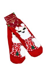 Kalėdinės kojinės vaikams Aura.via 23368-223, raudonos kaina ir informacija | Kojinės, pėdkelnės mergaitėms | pigu.lt