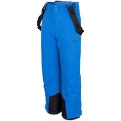 Slidinėjimo kelnės berniukams 4F Jr HJZ22 JSPMN001 33S, mėlynos kaina ir informacija | Žiemos drabužiai vaikams | pigu.lt