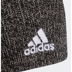 Kepurė Adidas Beanie HG7787 kaina ir informacija | Kepurės moterims | pigu.lt