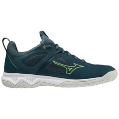 Rankinio batai moterims Mizuno X1GA218038, mėlyni цена и информация | Спортивная обувь, кроссовки для женщин | pigu.lt