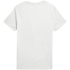 Marškinėliai vyrams Outhorn Othaw22TTShm10827S, pilki kaina ir informacija | Vyriški marškinėliai | pigu.lt