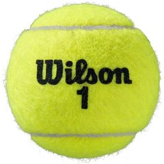 Teniso kamuoliukai Wilson Roland Garros All Court, geltoni kaina ir informacija | Lauko teniso prekės | pigu.lt