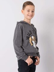 Džemperis berniukams Toontoy TY-BL-13399.20 2016102792314, pilkas kaina ir informacija | Megztiniai, bluzonai, švarkai berniukams | pigu.lt