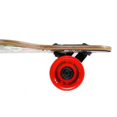 Riedlentė Nils Extreme Longboard, 104cm kaina ir informacija | Riedlentės | pigu.lt