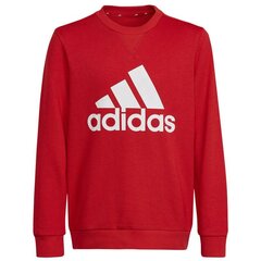 Bluzonas berniukams Adidas Didelis logotipas Swt Jr HN1911, raudonas kaina ir informacija | Megztiniai, bluzonai, švarkai berniukams | pigu.lt