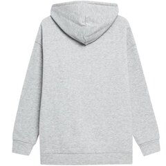 Džemperis moterims Outhorn, pilkas kaina ir informacija | Džemperiai moterims | pigu.lt