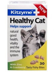 Синий цена и информация | Витамины, добавки и средства от паразитов для кошек | pigu.lt