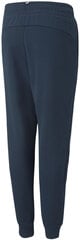 Брюки Puma Ess+ 2 Col Logo Pants Blue 586988 71 586988 71/164 цена и информация | Спортивные штаны для мальчиков | pigu.lt