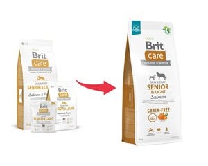 Brit Care visų veislių vyresniems šunims begrūdis su lašiša, 12 kg (nauja pakuotė) kaina ir informacija | Brit Care Šunims | pigu.lt