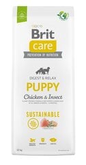 Сухой корм для собак BRIT Care Dog Sustainable Puppy Chicken & Insect, 12 кг цена и информация | Brit Товары для животных | pigu.lt