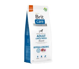 Brit Care, Для крупных пород  цена и информация | Сухой корм для собак | pigu.lt