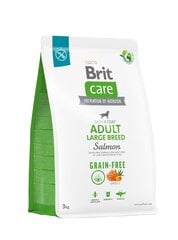 Brit Care для взрослых собак крупных пород свыше 25 кг беззерновой с лососем и картофелем, 3 кг цена и информация |  Сухой корм для собак | pigu.lt