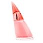 Tualetinis vanduo Bruno Banani Absolute Woman EDT moterims 20 ml цена и информация | Kvepalai moterims | pigu.lt