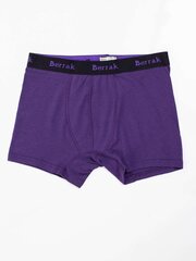 Trumpikės vyrams Berrak BR-BK-4476.28P, violetinės цена и информация | Мужские трусы | pigu.lt