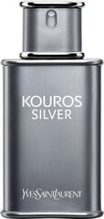 Туалетная вода для мужчин Yves Saint Laurent Kouros Silver EDT, 100 мл цена и информация | Мужские духи | pigu.lt