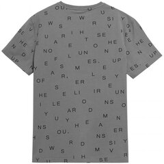 Marškinėliai vyrams Outhorn HOL22TSM60623S, pilki kaina ir informacija | Vyriški marškinėliai | pigu.lt