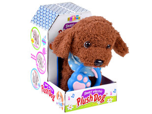 Interaktyvus šuo su pavadėliu kaina ir informacija | Lavinamieji žaislai | pigu.lt