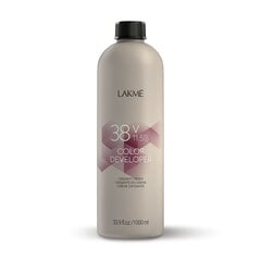 Oksidantas Lakmé 38 vol 11,5%, 1000 ml kaina ir informacija | Plaukų dažai | pigu.lt