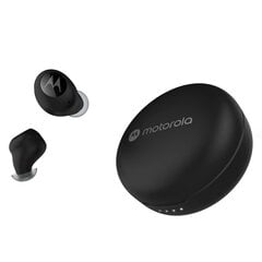 Motorola Moto Buds 250 цена и информация | Наушники | pigu.lt