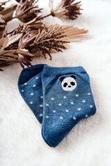 Kojinės vaikams Panda Blue 17551-224 цена и информация | Носки, колготки для девочек | pigu.lt