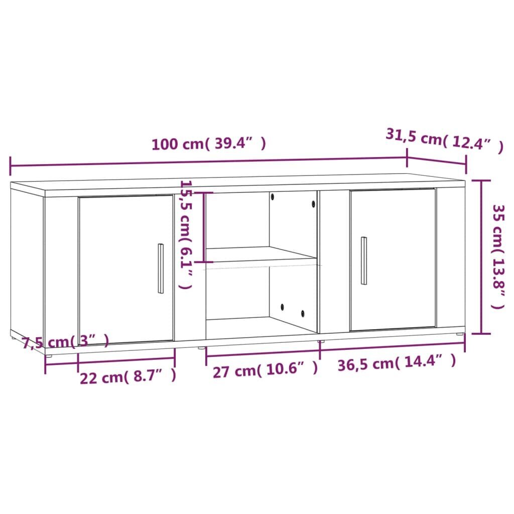 Televizoriaus spintelė vidaXL, 100x31,5x35cm kaina ir informacija | TV staliukai | pigu.lt