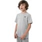 Marškinėliai 4F Jr HJZ22 JTSM001 27M, pilki цена и информация | Marškinėliai berniukams | pigu.lt