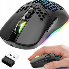 Игровая мышь, RGB цена и информация | Мыши | pigu.lt