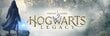 Hogwarts Legacy, PS4 kaina ir informacija | Kompiuteriniai žaidimai | pigu.lt