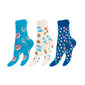 Unisex spalvotos kojinės Footstar Funny Socks 79045, 3 poros kaina ir informacija | Vyriškos kojinės | pigu.lt