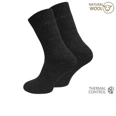 Толстые зимние мужские носки с шерстью NORWEGER 2093, 2 пары цена и информация | Мужские носки | pigu.lt