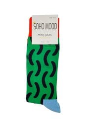 Мужские носки Soho Mood цена и информация | Мужские носки | pigu.lt