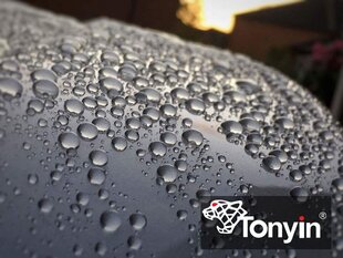 Vaškas automobiliui Tonyin 200 g цена и информация | Автохимия | pigu.lt