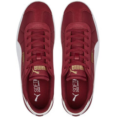 Unisex Puma Club Nylon kedai 384822 07, bordo spalvos kaina ir informacija | Sportiniai bateliai, kedai moterims | pigu.lt