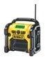 Dewalt DCR019-QW цена и информация | Radijo imtuvai ir žadintuvai | pigu.lt